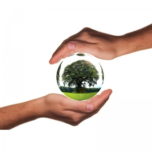 PRODUCTES DE PROXIMITAT